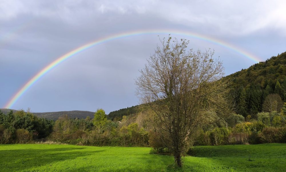 rainbow 2 Image 2026-04-15 at 23.49.13